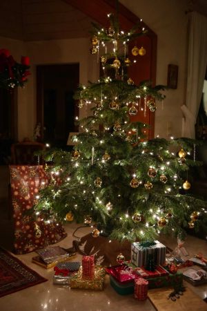 Weihnachtsbaum mit elektrischer Beleuchtung