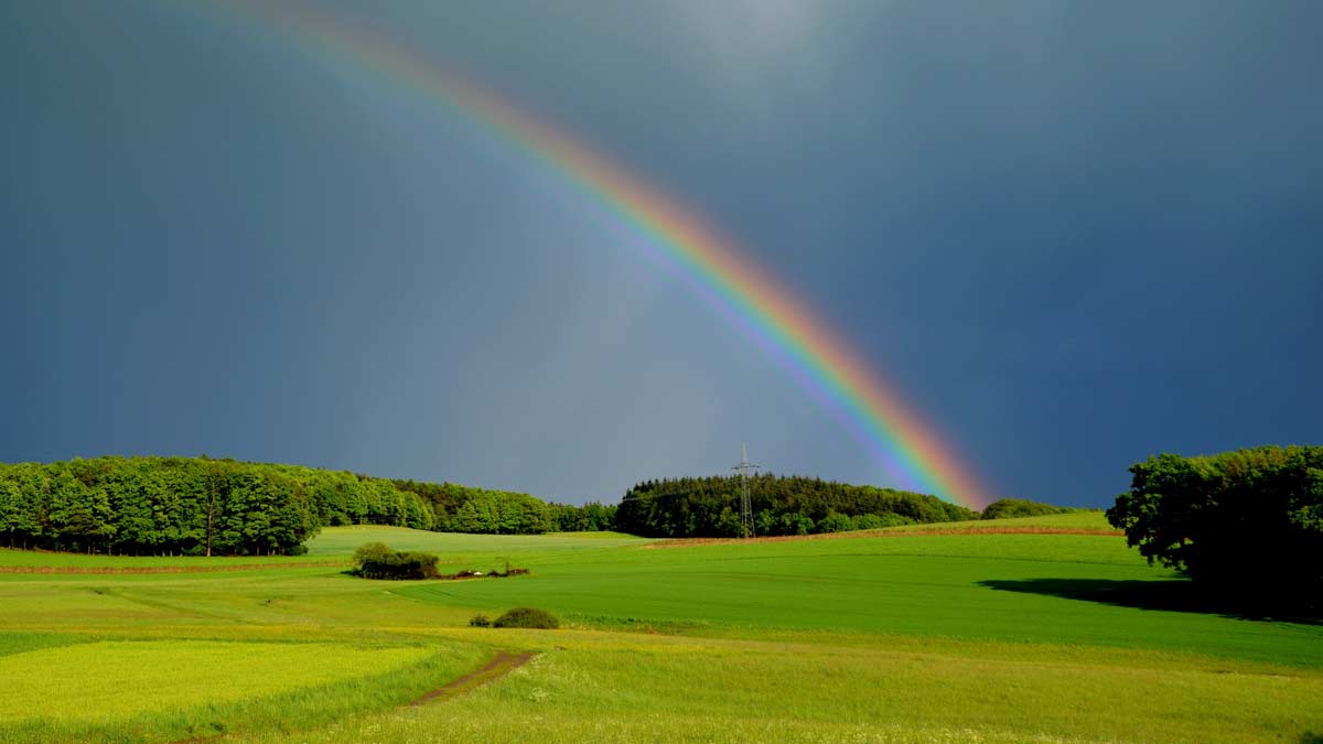 Regenbogen